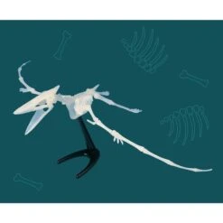 KOSMOS Nachtleuchtender Flugsaurier, Experimentierkasten -Spielwarenladen KOSMOS Nachtleuchtender Flugsaurier Experimentierkasten@@1877993 1