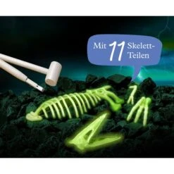 KOSMOS Nachtleuchtender Flugsaurier, Experimentierkasten -Spielwarenladen KOSMOS Nachtleuchtender Flugsaurier Experimentierkasten@@1877993 2
