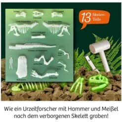 KOSMOS Nachtleuchtender T-REX, Experimentierkasten -Spielwarenladen KOSMOS Nachtleuchtender T REX Experimentierkasten@@1sgoe06y 1