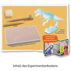 KOSMOS Nachtleuchtender T-REX, Experimentierkasten -Spielwarenladen KOSMOS Nachtleuchtender T REX Experimentierkasten@@1sgoe06y 3