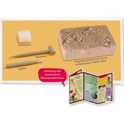 KOSMOS T-Rex Zahn, Experimentierkasten -Spielwarenladen KOSMOS T Rex Zahn Experimentierkasten@@1877994 2