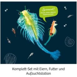 KOSMOS Urzeit-Krebse, Experimentierkasten -Spielwarenladen KOSMOS Urzeit Krebse Experimentierkasten@@1sgoe06u 3