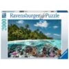 Ravensburger Puzzle Ein Tauchgang Auf Den Malediven -Spielwarenladen Ravensburger Puzzle Ein Tauchgang auf den Malediven@@1894888