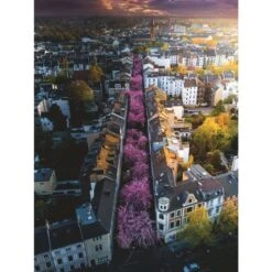 Ravensburger Puzzle: Blühendes Bonn (1500 Teile) -Spielwarenladen Ravensburger Puzzle Bl hendes Bonn 1500 Teile @@1828733 1