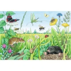 Ravensburger Wieso? Weshalb? Warum? Tiere Im Wald Und Auf Der Wiese, Puzzle -Spielwarenladen Ravensburger Wieso Weshalb Warum Tiere im Wald und auf der Wiese Puzzle@@1894870 2