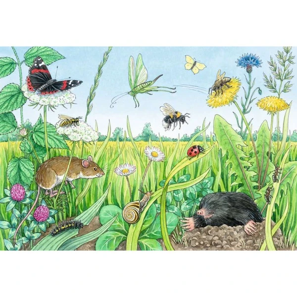 Ravensburger Wieso? Weshalb? Warum? Tiere Im Wald Und Auf Der Wiese, Puzzle – Bild 3