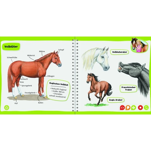 Ravensburger Tiptoi Pocket Wissen: Pferde Und Ponys, Lernbuch – Bild 2