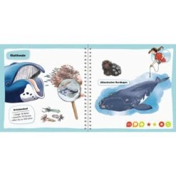 Ravensburger Tiptoi Pocket Wissen: Wale Und Delfine, Lernbuch -Spielwarenladen Ravensburger tiptoi Pocket Wissen Wale und Delfine Lernbuch@@1607227 2