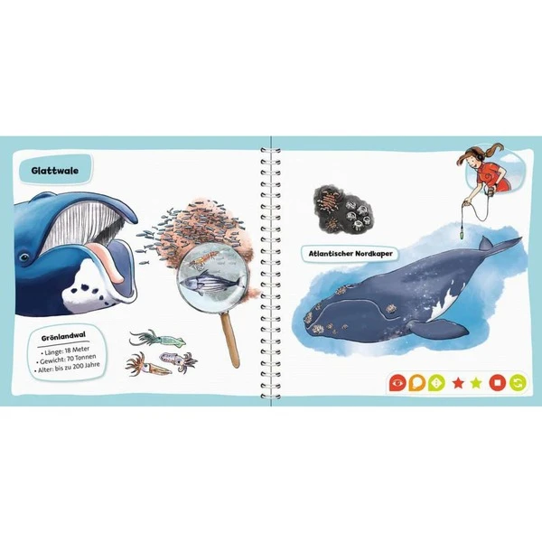 Ravensburger Tiptoi Pocket Wissen: Wale Und Delfine, Lernbuch – Bild 3