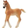 Schleich Horse Club Araber Fohlen, Spielfigur -Spielwarenladen Schleich Horse Club Araber Fohlen Spielfigur@@100016832