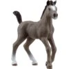 Schleich Horse Club Cheval De Selle Francais Fohlen, Spielfigur -Spielwarenladen Schleich Horse Club Cheval de Selle Francais Fohlen Spielfigur@@1866362